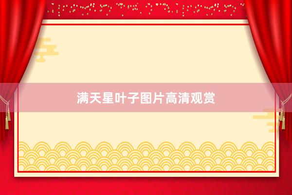满天星叶子图片高清观赏